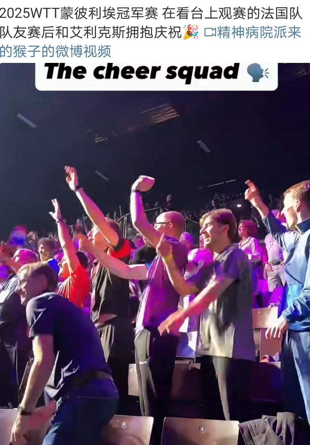 法国队翻盘韩国队，张本智和刷新纪录